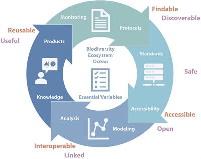 From Data to Marine Ecosystem Assessments of the Southern Ocean: Achievements, Challenges, and Lessons for the Future